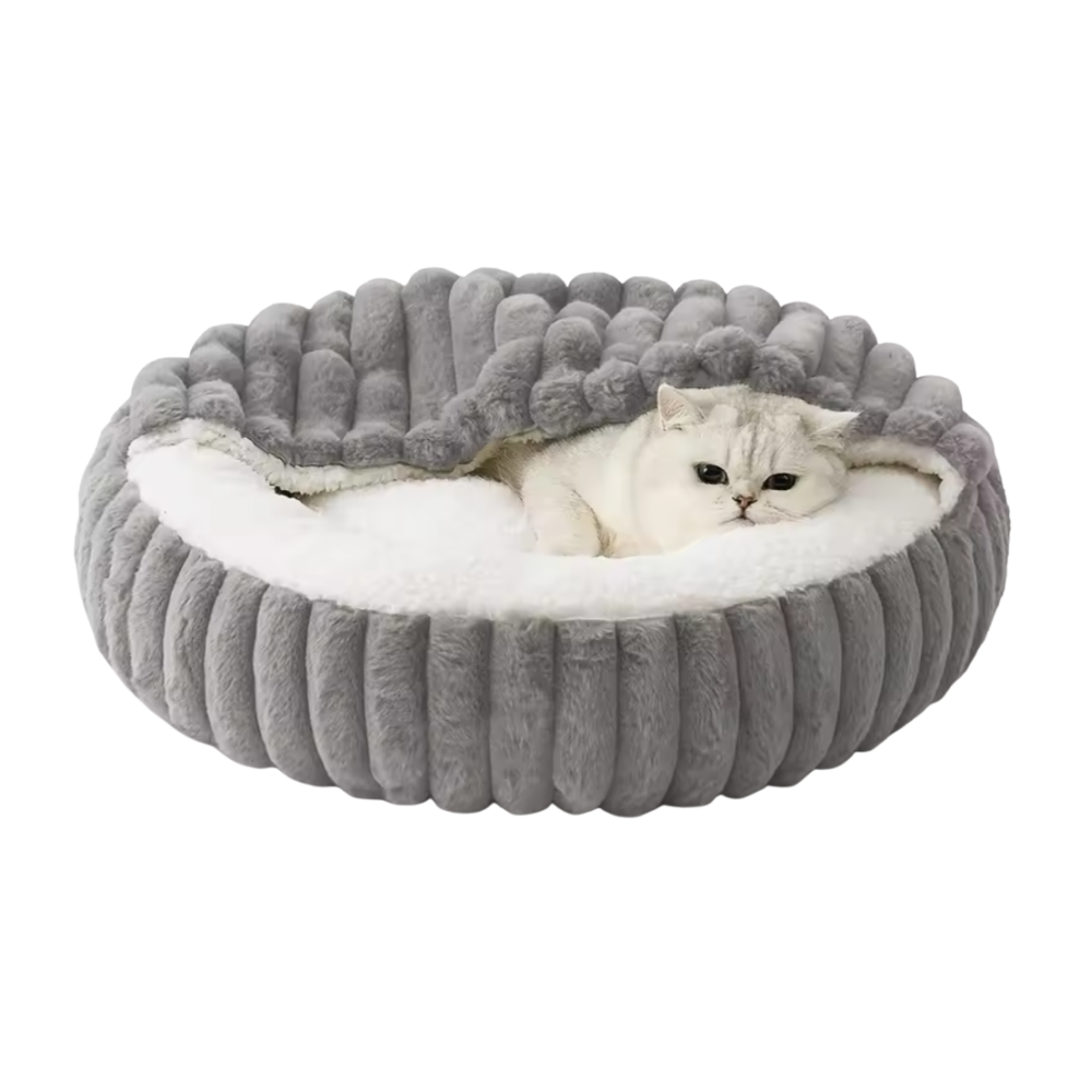 Katten Grotmand | Wasbaar Winternest