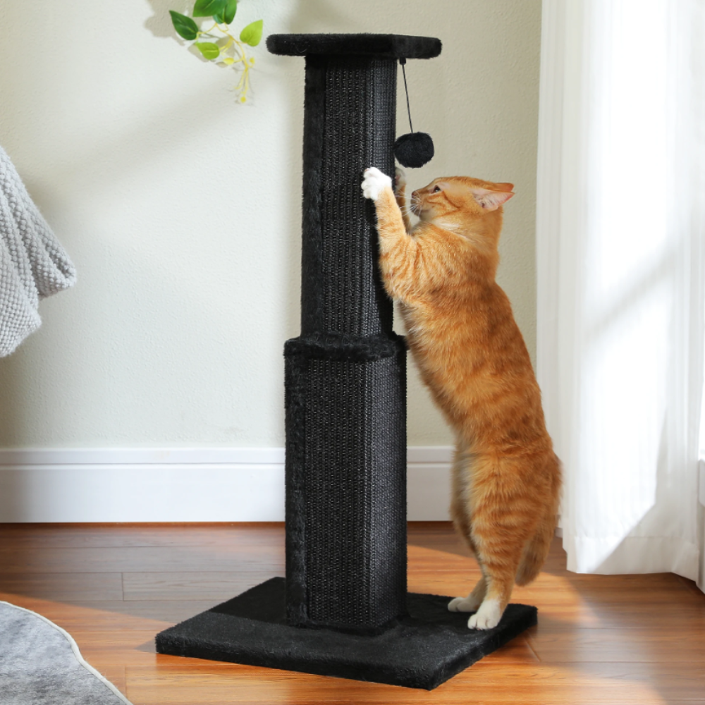 Grote Kattenkrabpaal | Krasvriendelijk Ontwerp