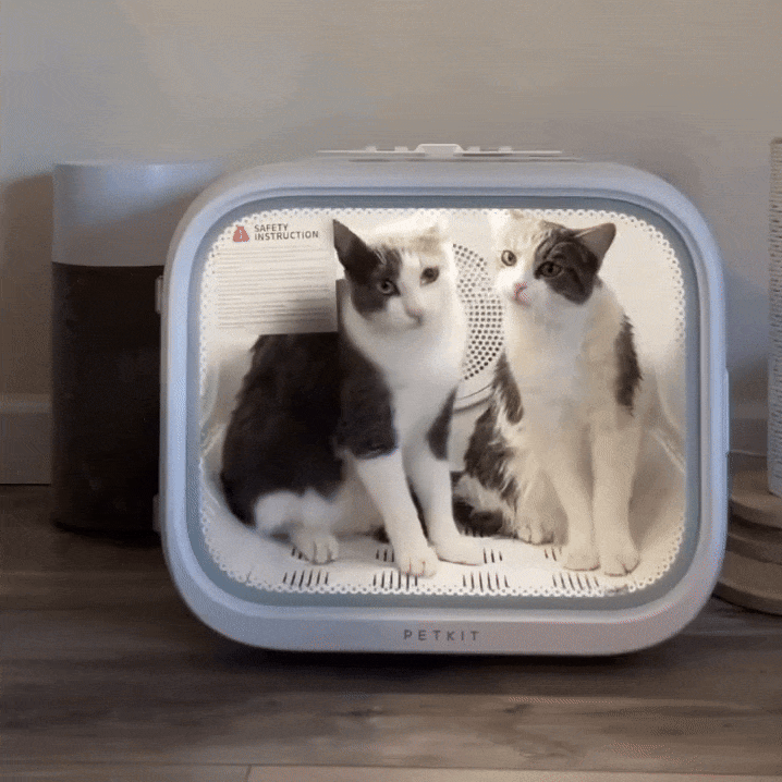 Huisdieren Droger Stille Handsfree Droogcabine Voor Honden & Katten