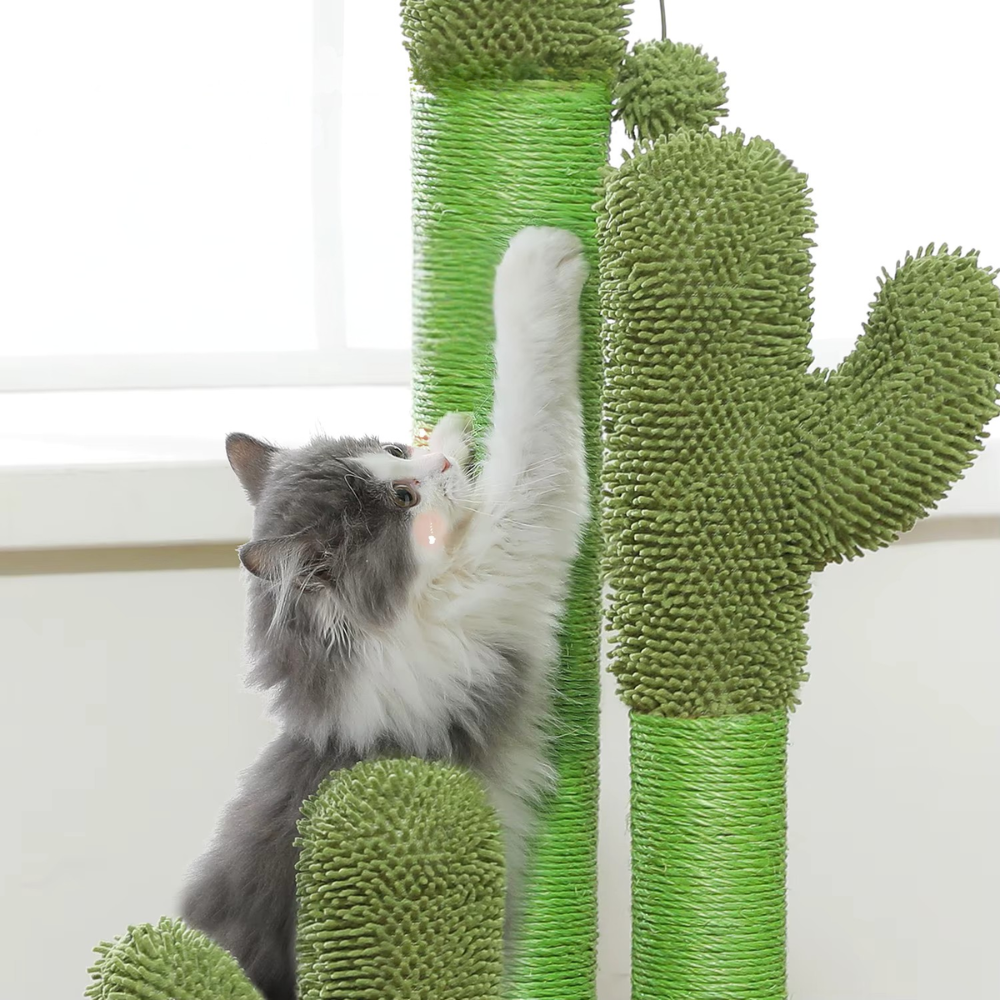 Krabpaal voor Katten | Cactus Geïnspireerde Toren