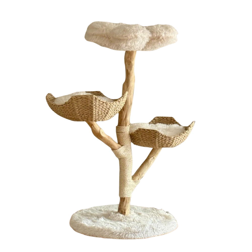 Katten Stevige Boom | Modern