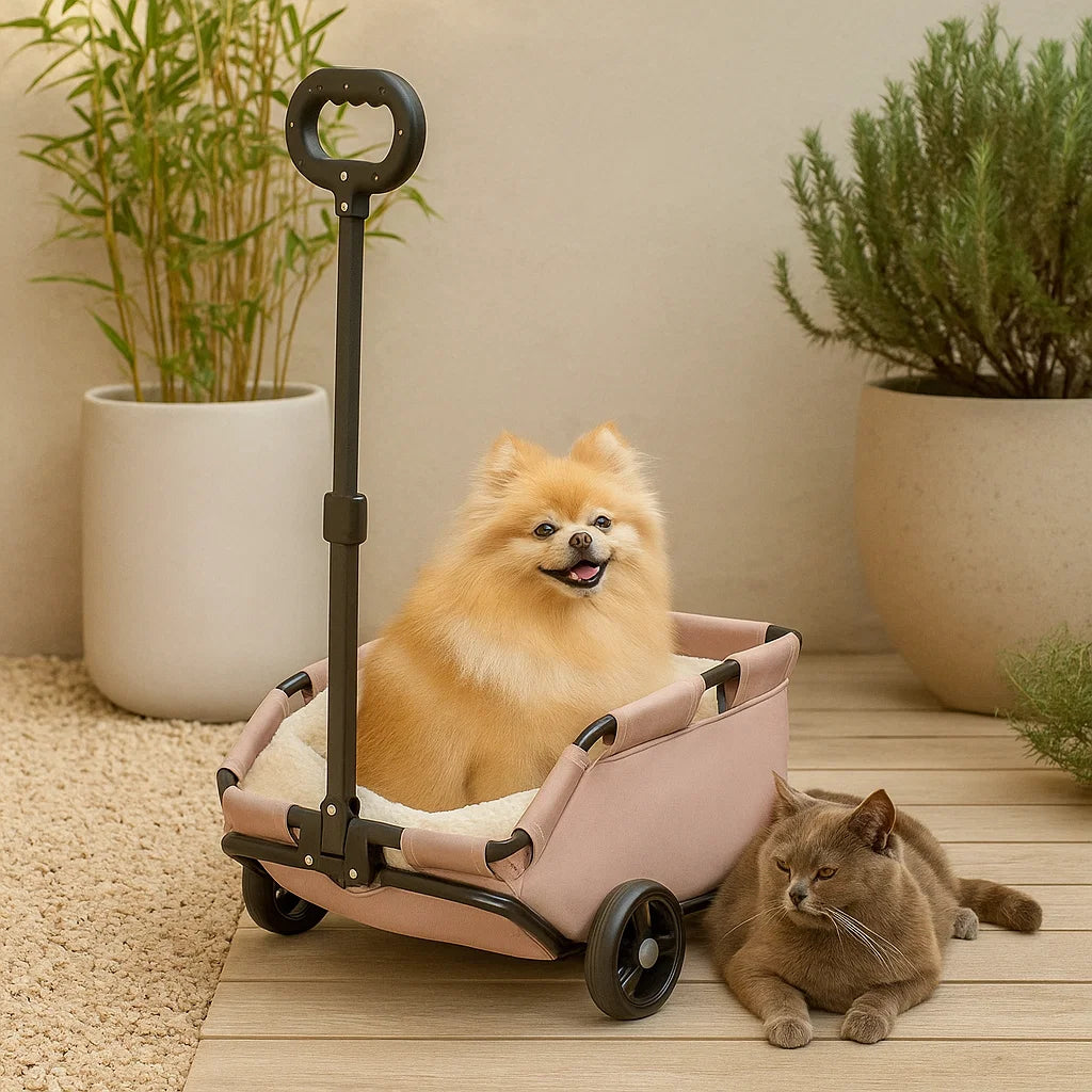 Mini Buggy Voor Huisdieren Inklapbare Buggy Met Comfortabele Zitruimte