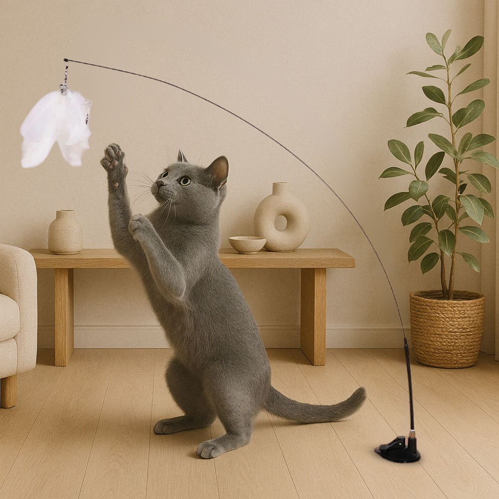 Interactief Kattenspeeltje Met Zuignap Kleurrijke Vogels Veren & Belletjes