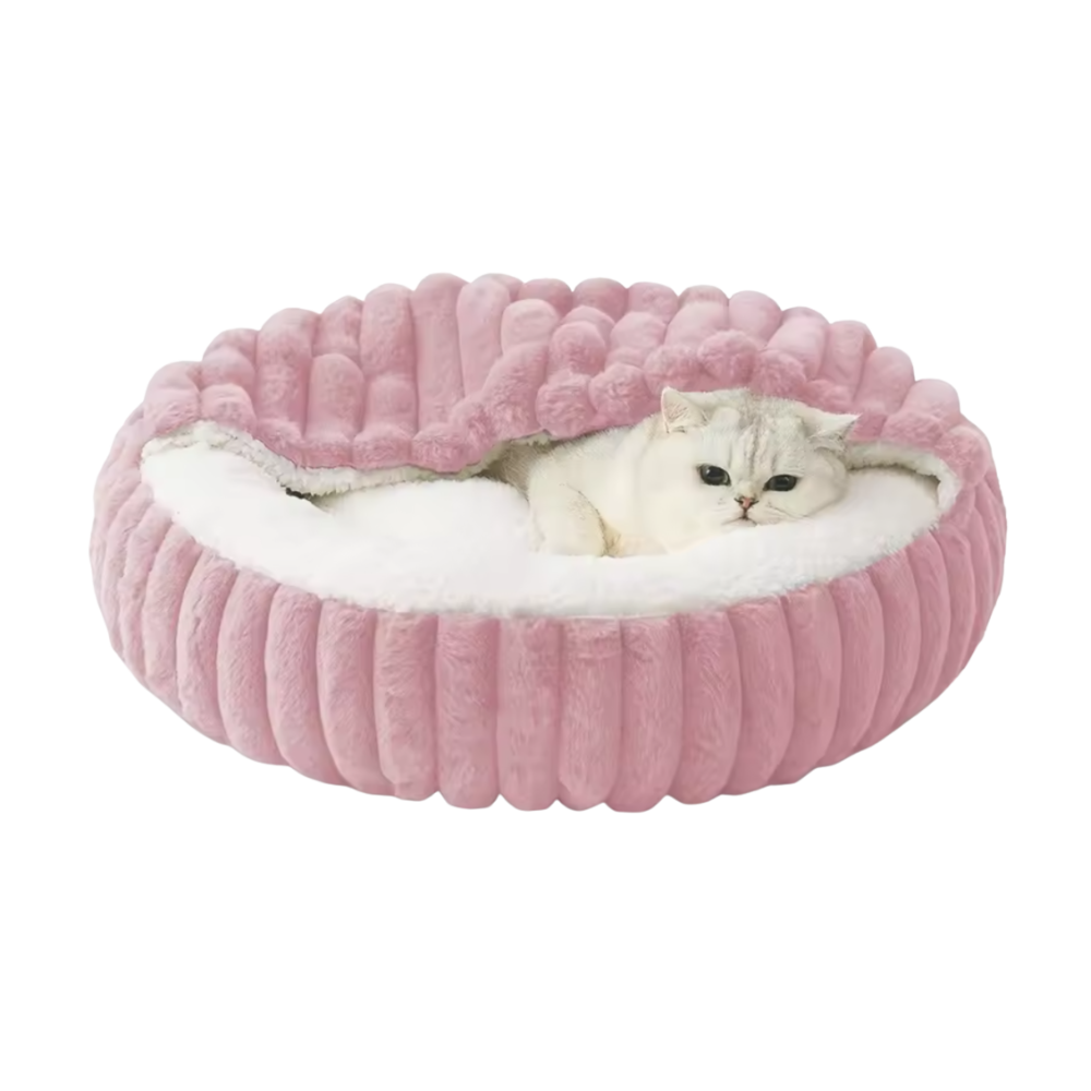 Katten Grotmand | Wasbaar Winternest