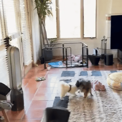 Anti-blaftrainer Hond Veilig Ultrasoon Apparaat Voor Ongewenst Gedrag