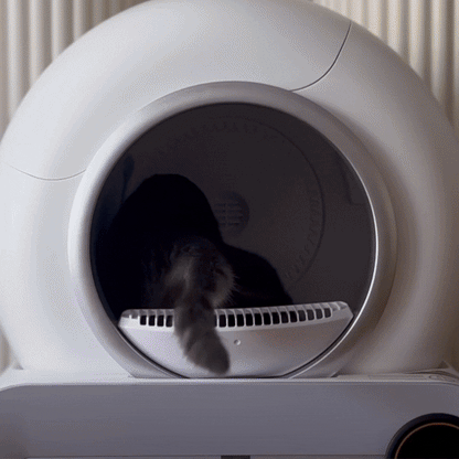 Zelfreinigende Kattenbak Automatische, Stille & Geurvrije Oplossing