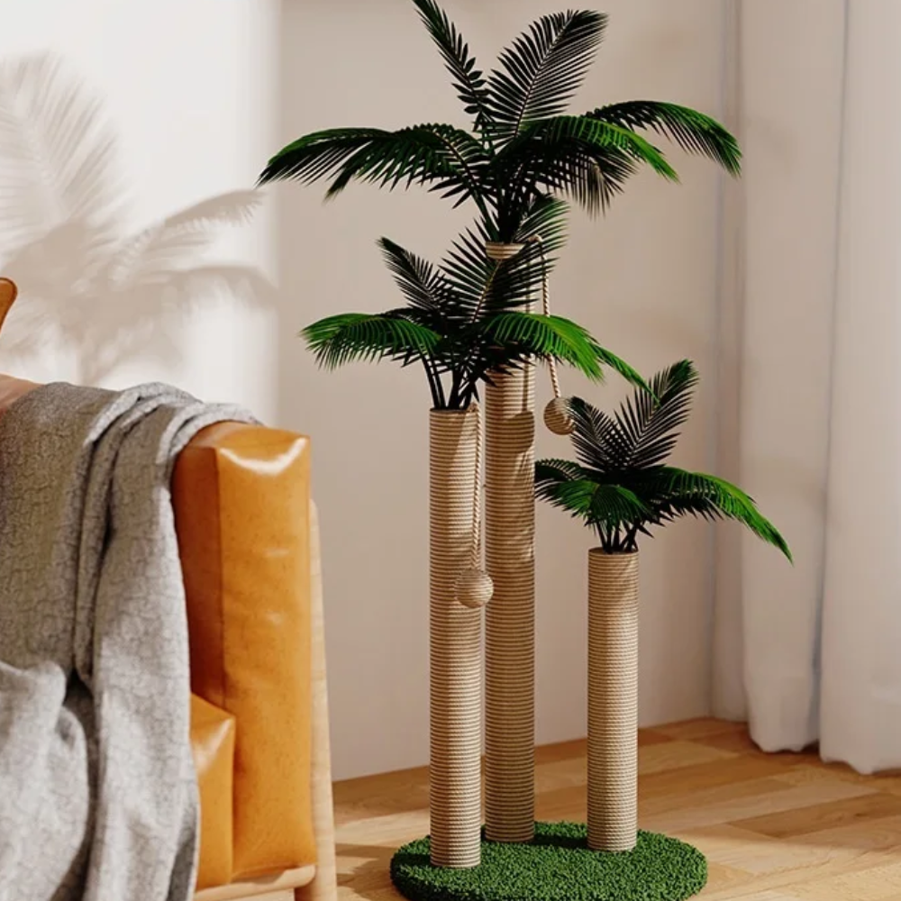 Kattenboom Modern En Schattig | Krasvriendelijk