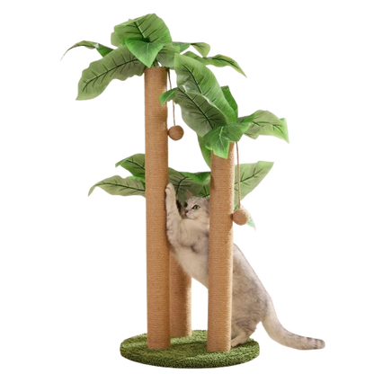 Kattenboom Modern En Schattig | Krasvriendelijk