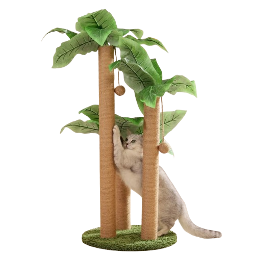 Kattenboom Modern En Schattig | Krasvriendelijk