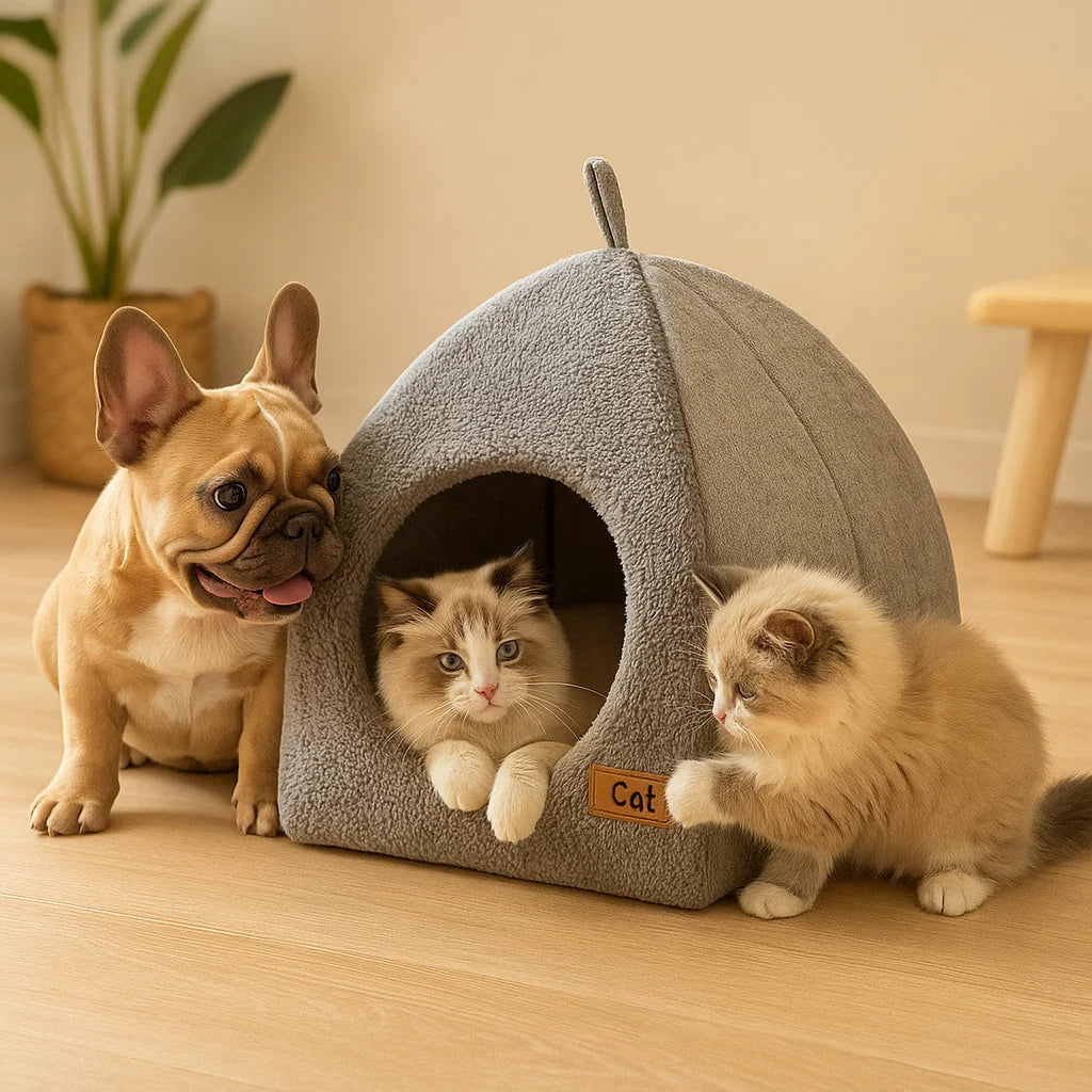 Katten Grot Huis | Binnen