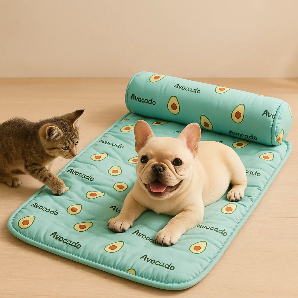 Hond Koelmat | Wasbaar Kussen