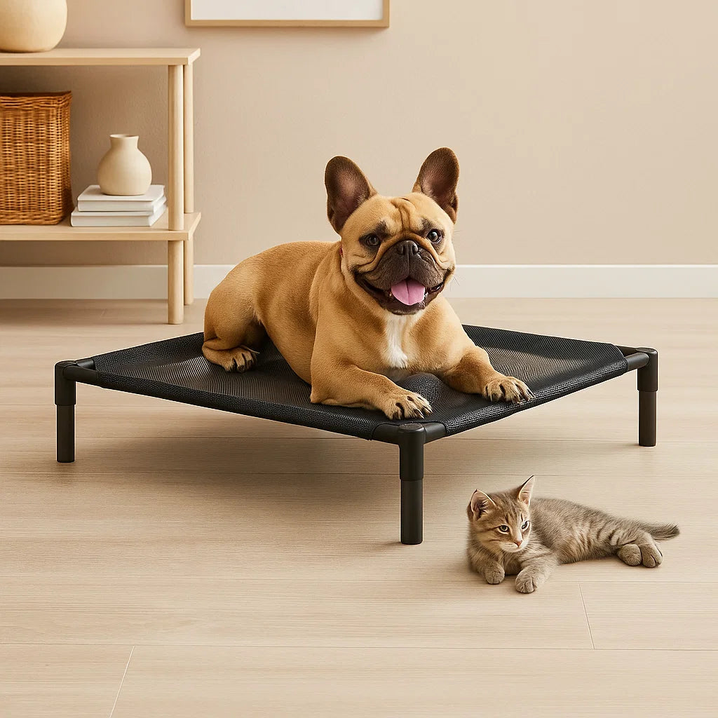 Verhoogd Hondenbed | Gezonde Huid voor Grote en Kleine Honden