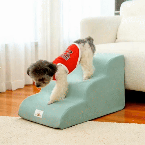 Hondentrap Foam Stappen Voor Pijnvrije Toegang Tot Meubels