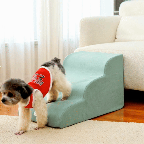 Hondentrap Foam Stappen Voor Pijnvrije Toegang Tot Meubels